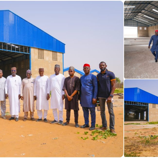 Construction of NASENI Fertilizer Plants Nears Completion